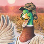 Duck Cover Duck Cover
