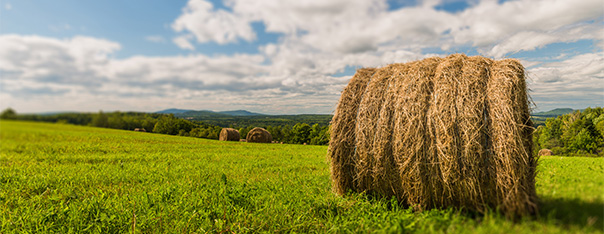 Fall 2018 National Newsletter