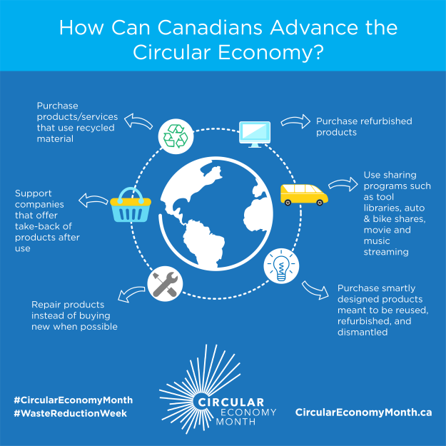 Circular Economy Infographic Circular Economy Infographic